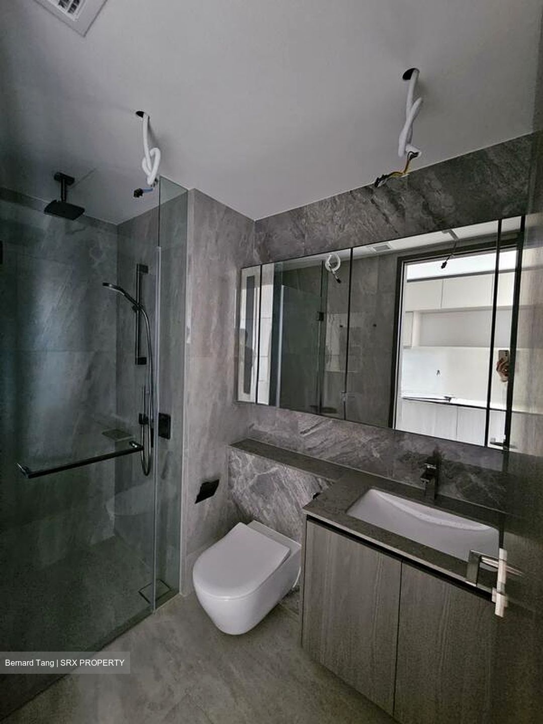 Piccadilly Grand (D8), Apartment #498355041